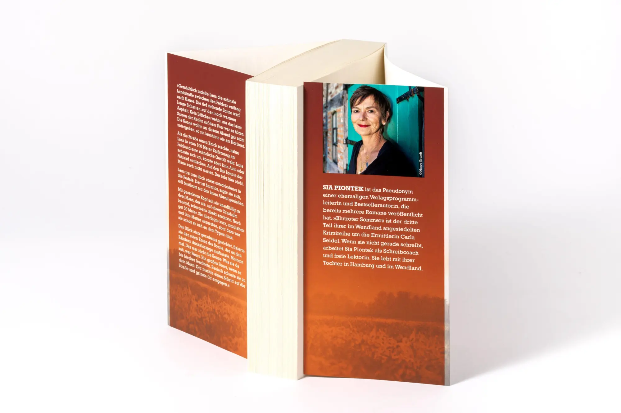 Bild: 9783442206933 | Blutroter Sommer | Sia Piontek | Taschenbuch | Ein Carla-Seidel-Krimi