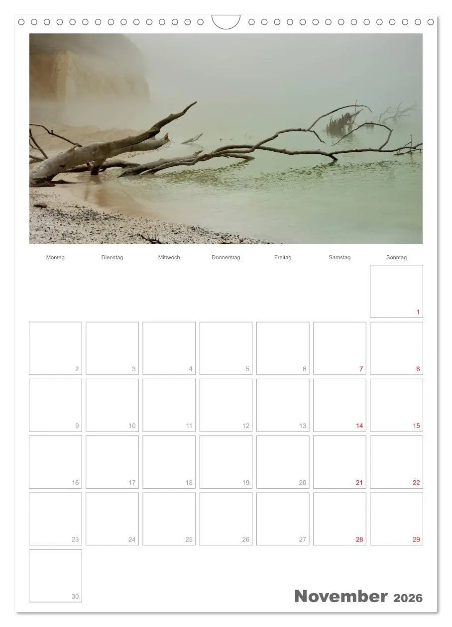 Bild: 9783516486933 | Insel Rügen / Planer (Wandkalender 2026 DIN A3 hoch), CALVENDO...