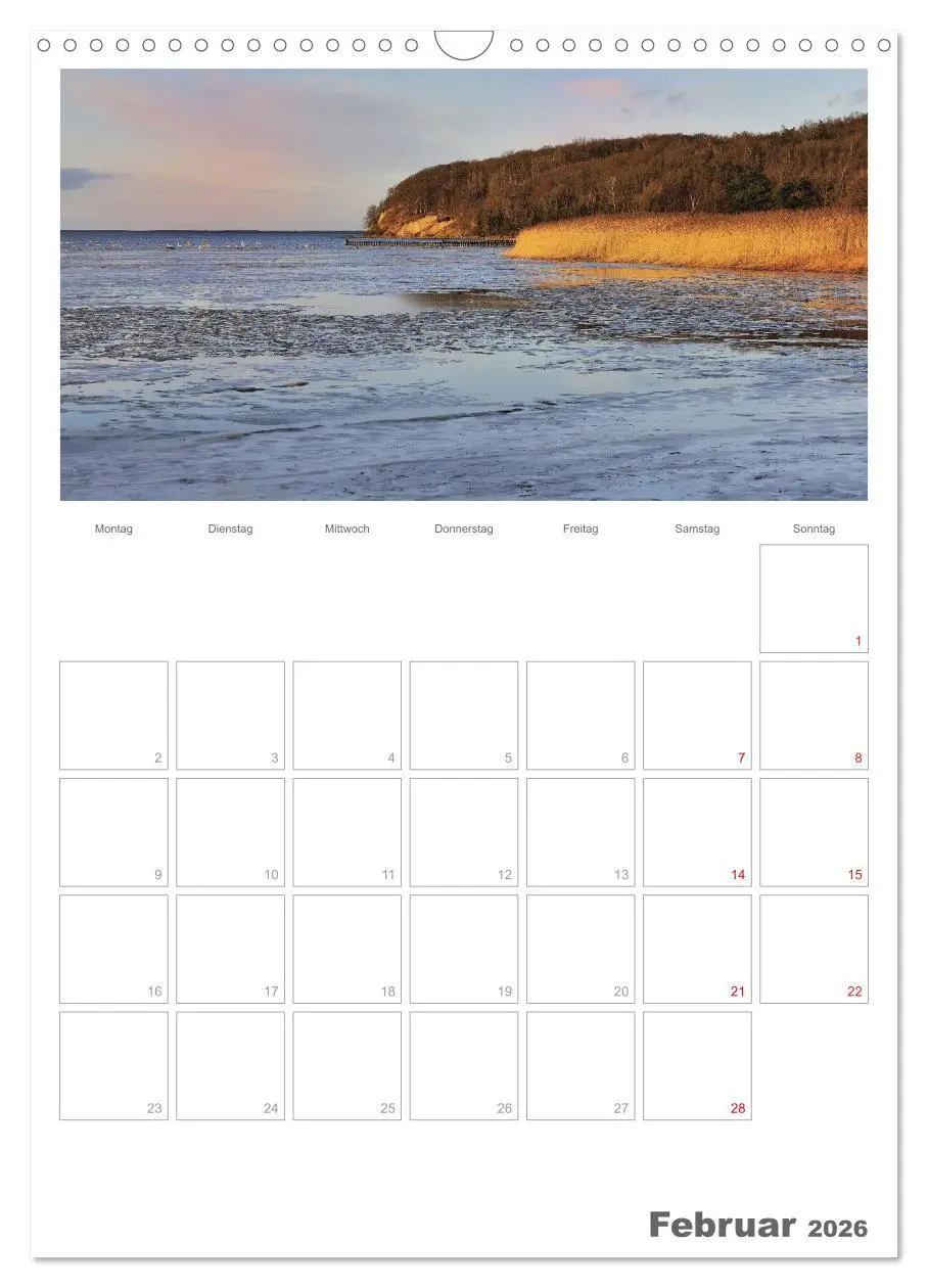 Bild: 9783516486933 | Insel Rügen / Planer (Wandkalender 2026 DIN A3 hoch), CALVENDO...