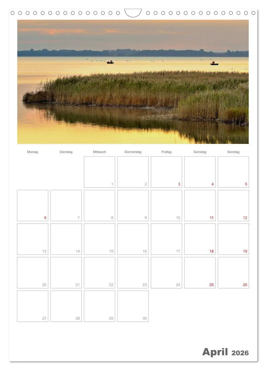 Bild: 9783516486933 | Insel Rügen / Planer (Wandkalender 2026 DIN A3 hoch), CALVENDO...