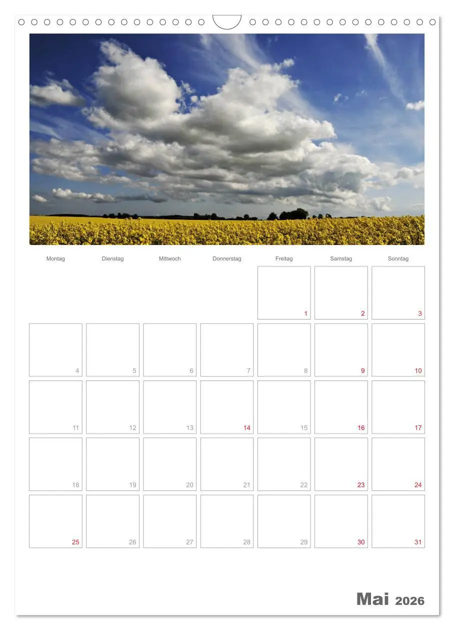 Bild: 9783516486933 | Insel Rügen / Planer (Wandkalender 2026 DIN A3 hoch), CALVENDO...