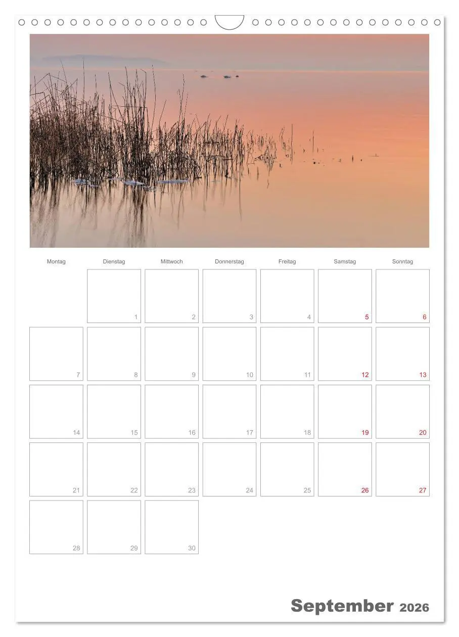 Bild: 9783516486933 | Insel Rügen / Planer (Wandkalender 2026 DIN A3 hoch), CALVENDO...