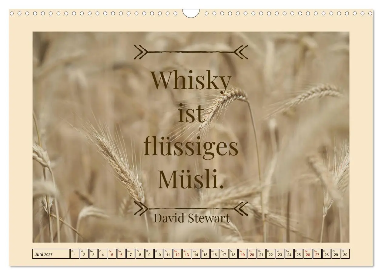 Bild: 9783569576933 | Whisky-Weisheiten (Wandkalender 2027 DIN A3 quer), CALVENDO...