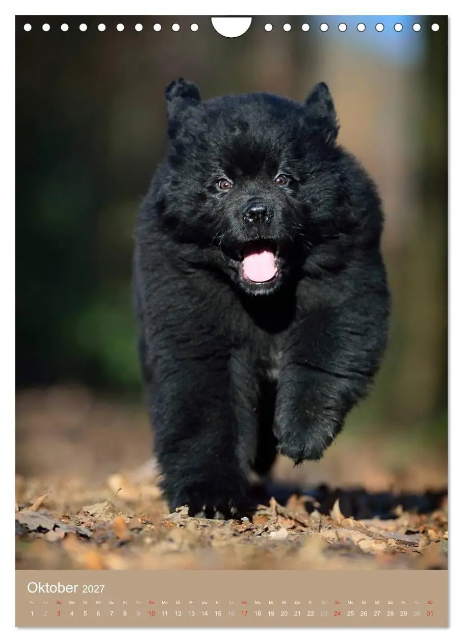 Bild: 9783594156933 | Hundekinder (Wandkalender 2027 DIN A4 hoch), CALVENDO Monatskalender