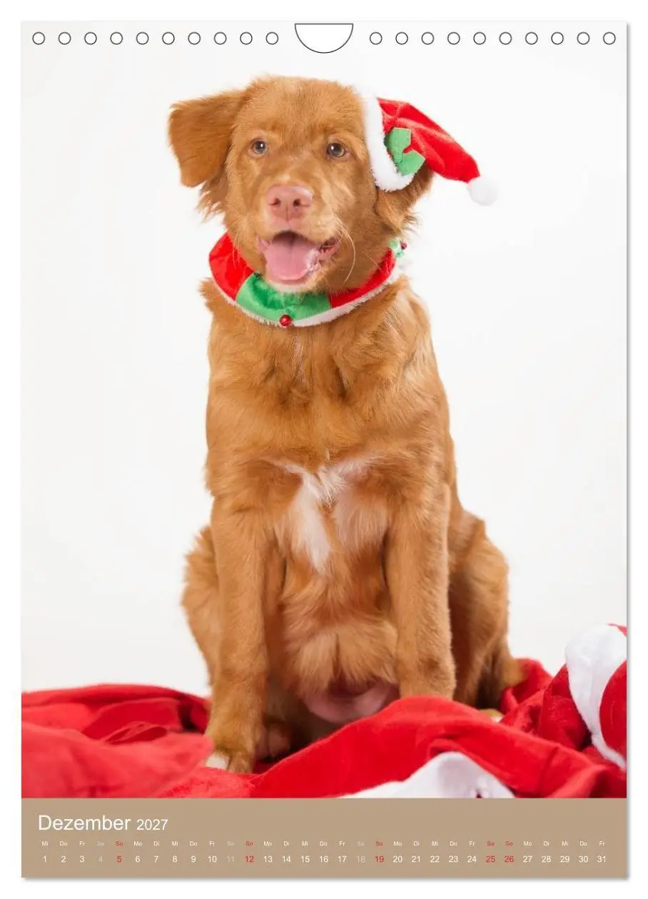 Bild: 9783594156933 | Hundekinder (Wandkalender 2027 DIN A4 hoch), CALVENDO Monatskalender
