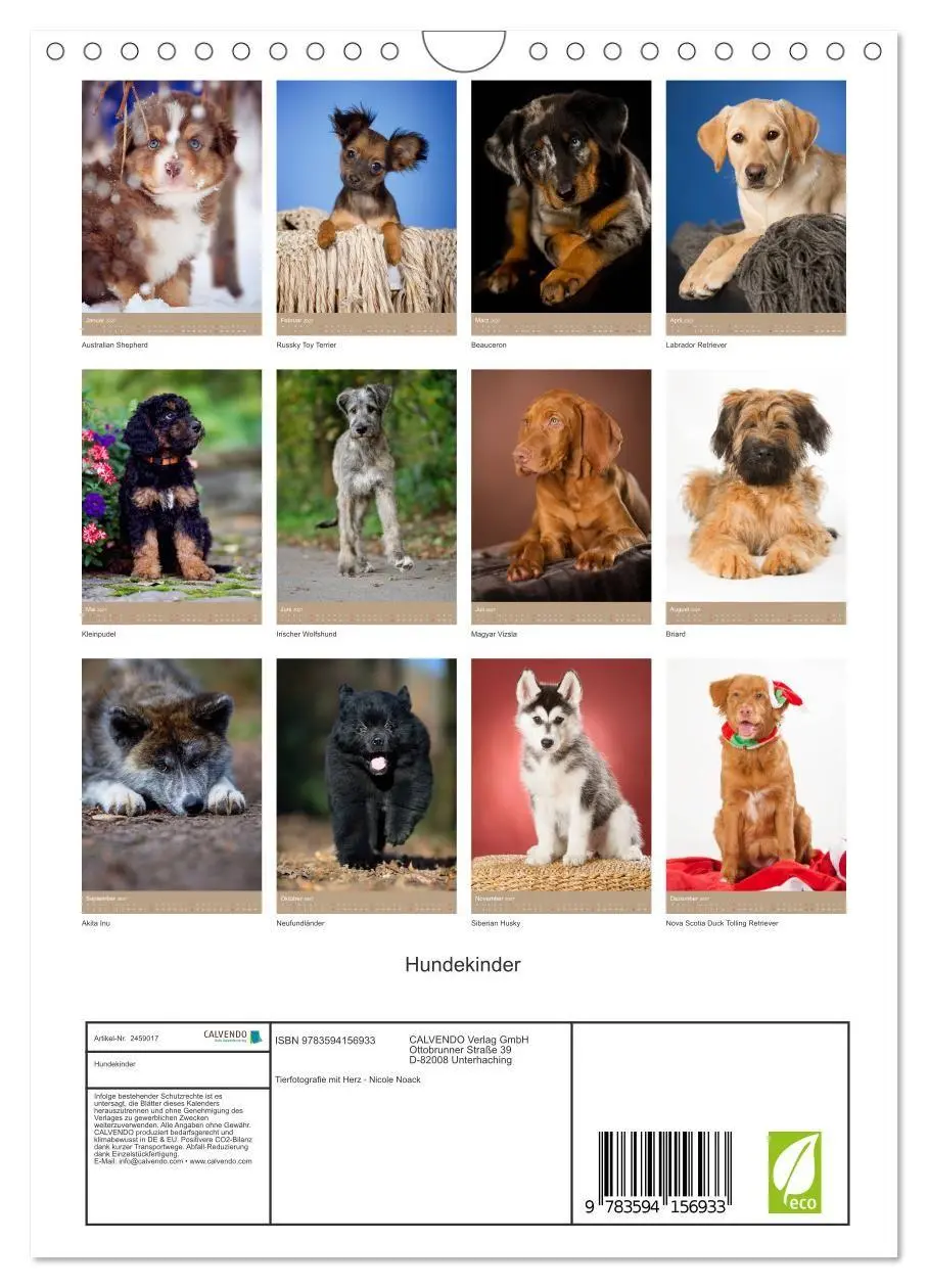 Bild: 9783594156933 | Hundekinder (Wandkalender 2027 DIN A4 hoch), CALVENDO Monatskalender