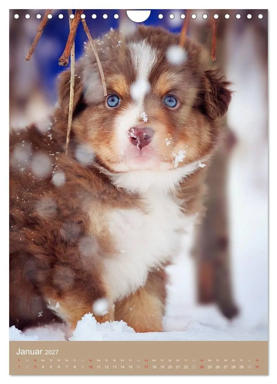 Bild: 9783594156933 | Hundekinder (Wandkalender 2027 DIN A4 hoch), CALVENDO Monatskalender