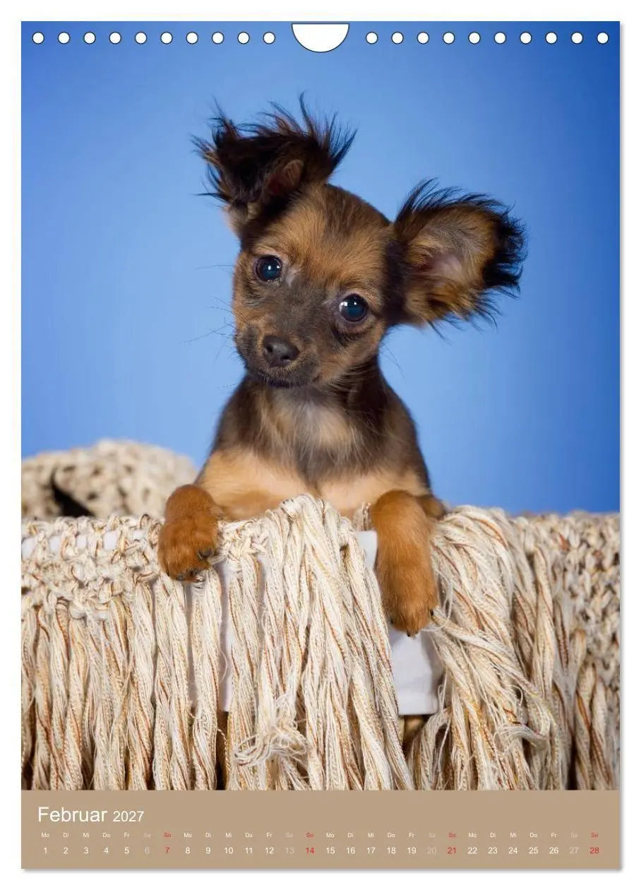 Bild: 9783594156933 | Hundekinder (Wandkalender 2027 DIN A4 hoch), CALVENDO Monatskalender