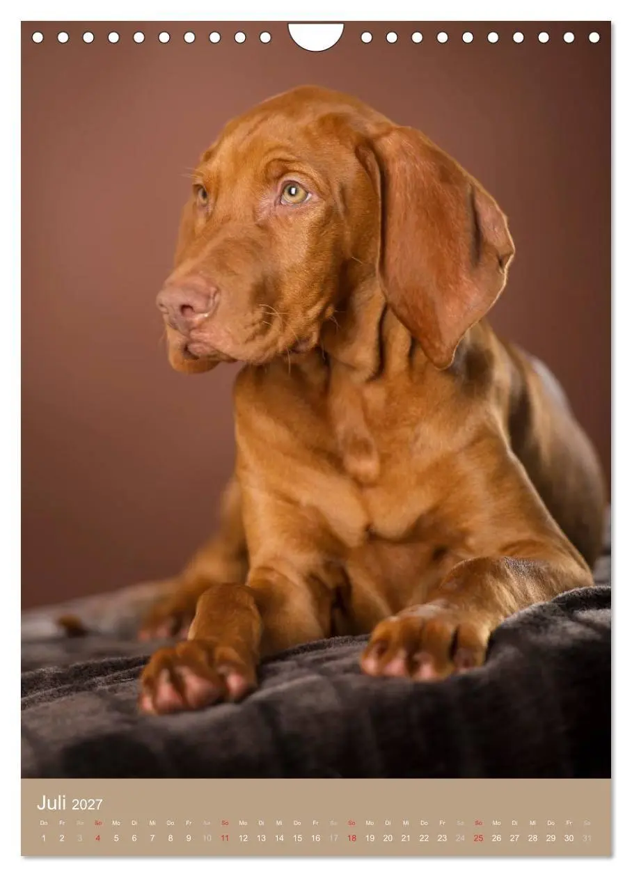 Bild: 9783594156933 | Hundekinder (Wandkalender 2027 DIN A4 hoch), CALVENDO Monatskalender