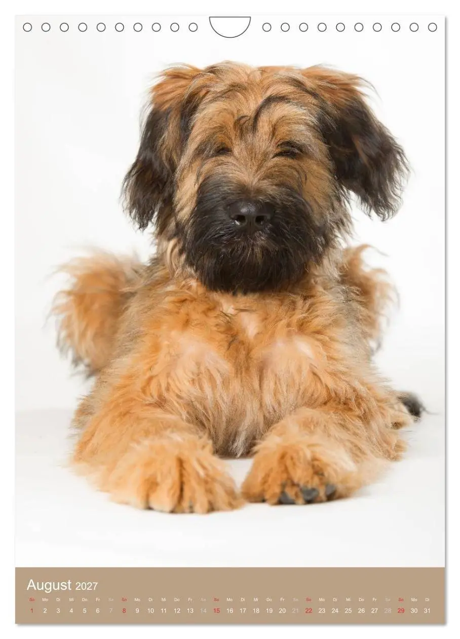 Bild: 9783594156933 | Hundekinder (Wandkalender 2027 DIN A4 hoch), CALVENDO Monatskalender