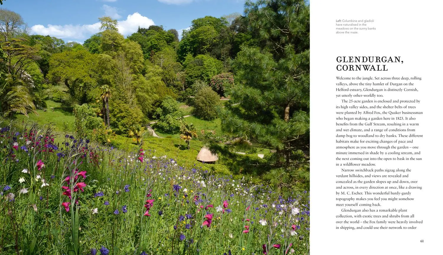 Bild: 9781911657033 | Wild Gardens | Stephanie Mahon (u. a.) | Buch | Gebunden | Englisch