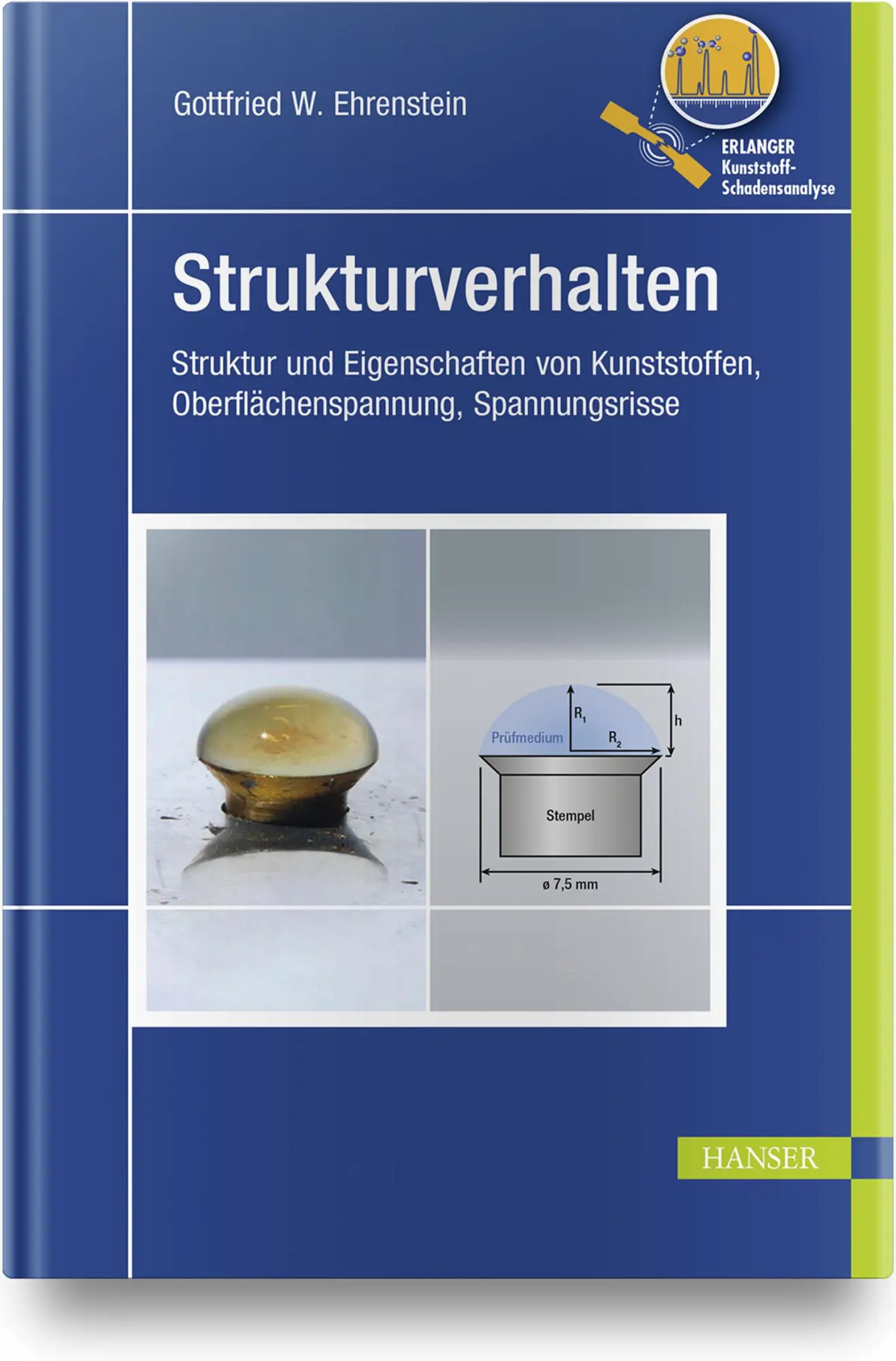 Cover: 9783446467033 | Strukturverhalten | Gottfried Wilhelm Ehrenstein | Buch | EKS | 294 S.