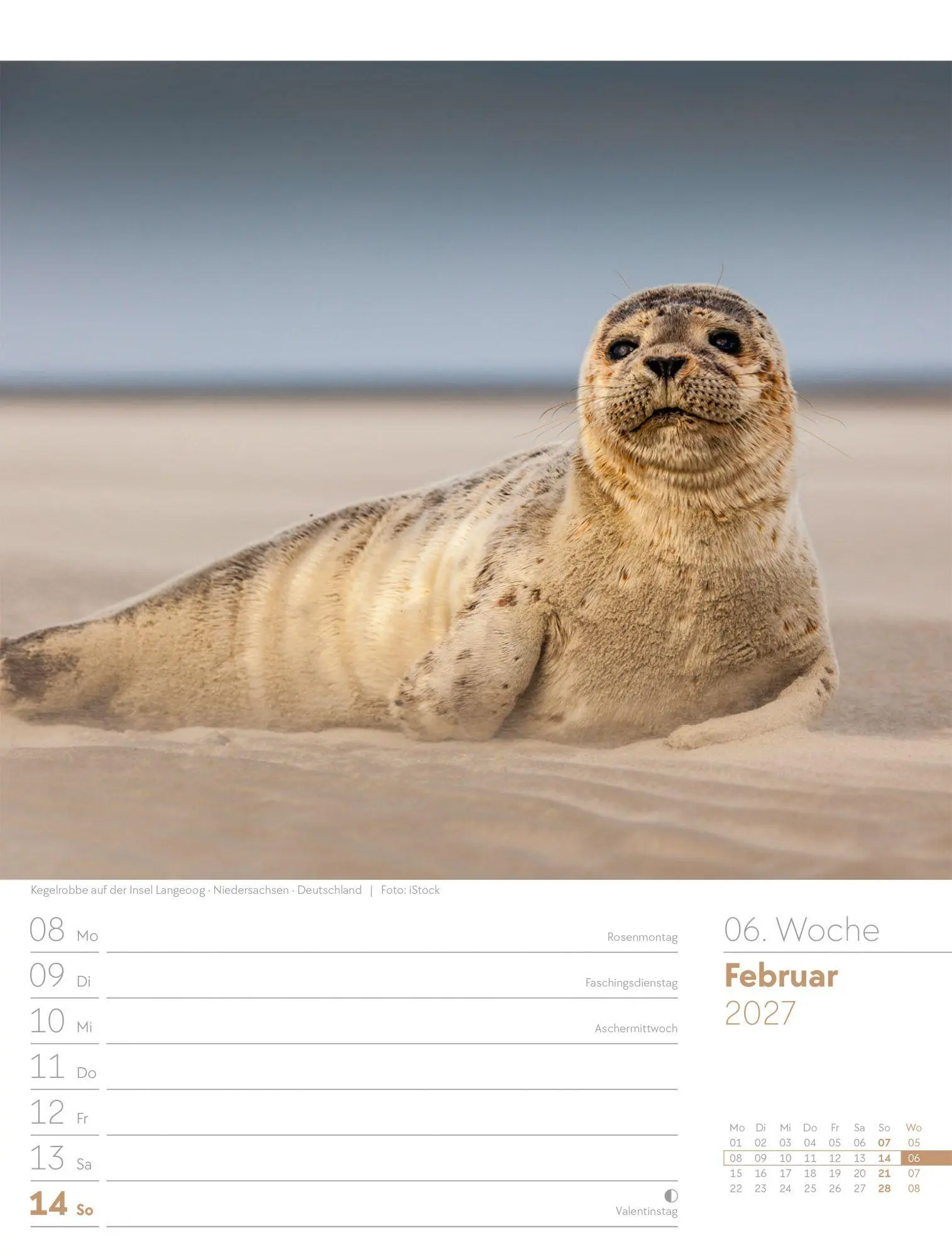 Bild: 9783838437033 | Am Meer Wochenplaner Kalender 2027 | Ackermann Kunstverlag GmbH | 2027