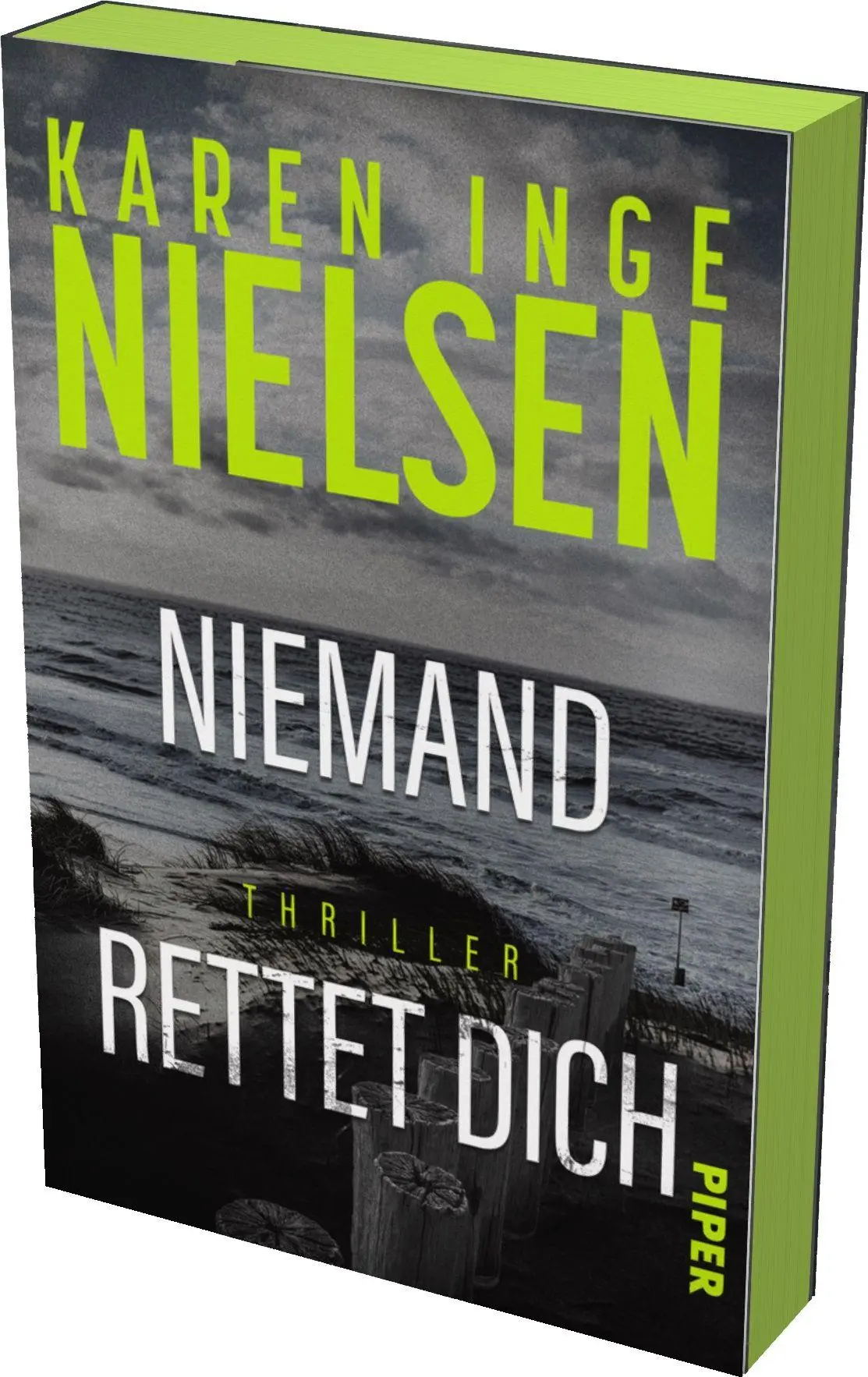 Cover: 9783492067133 | Niemand rettet dich | Karen Inge Nielsen | Taschenbuch | Grenzland