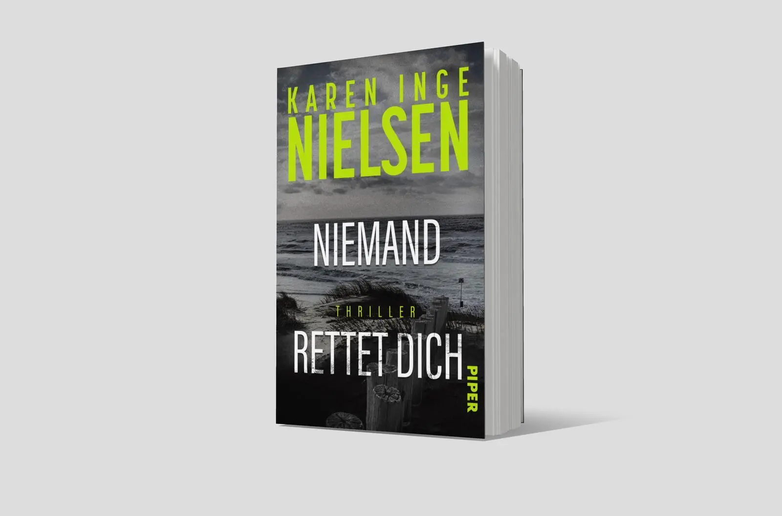 Bild: 9783492067133 | Niemand rettet dich | Karen Inge Nielsen | Taschenbuch | Grenzland