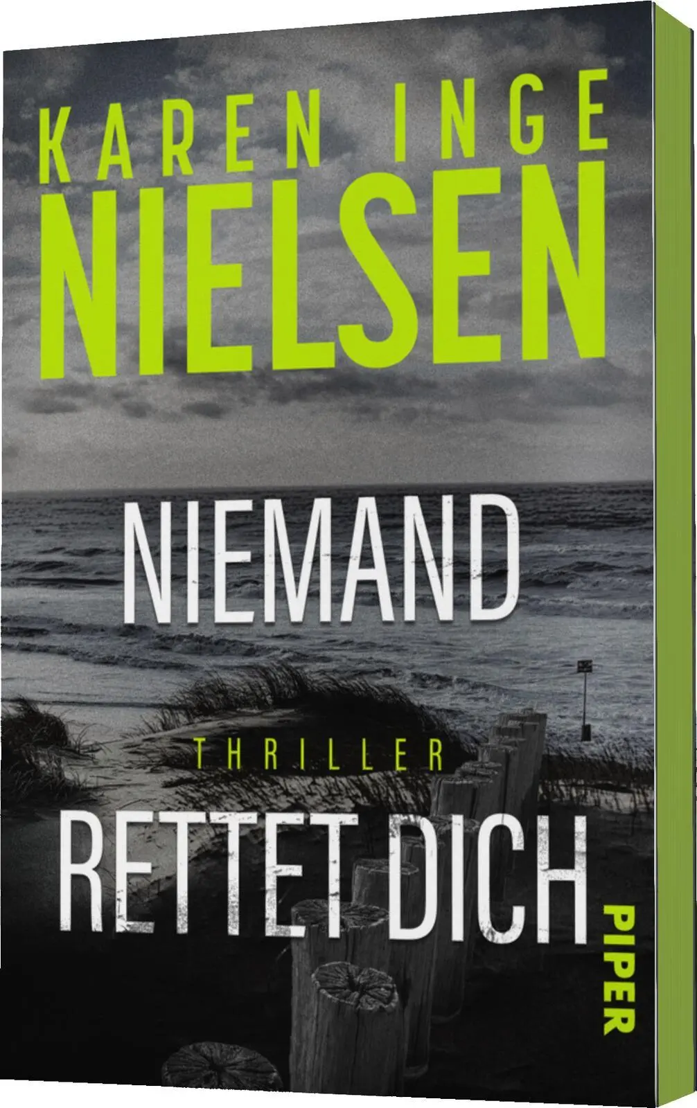 Bild: 9783492067133 | Niemand rettet dich | Karen Inge Nielsen | Taschenbuch | Grenzland