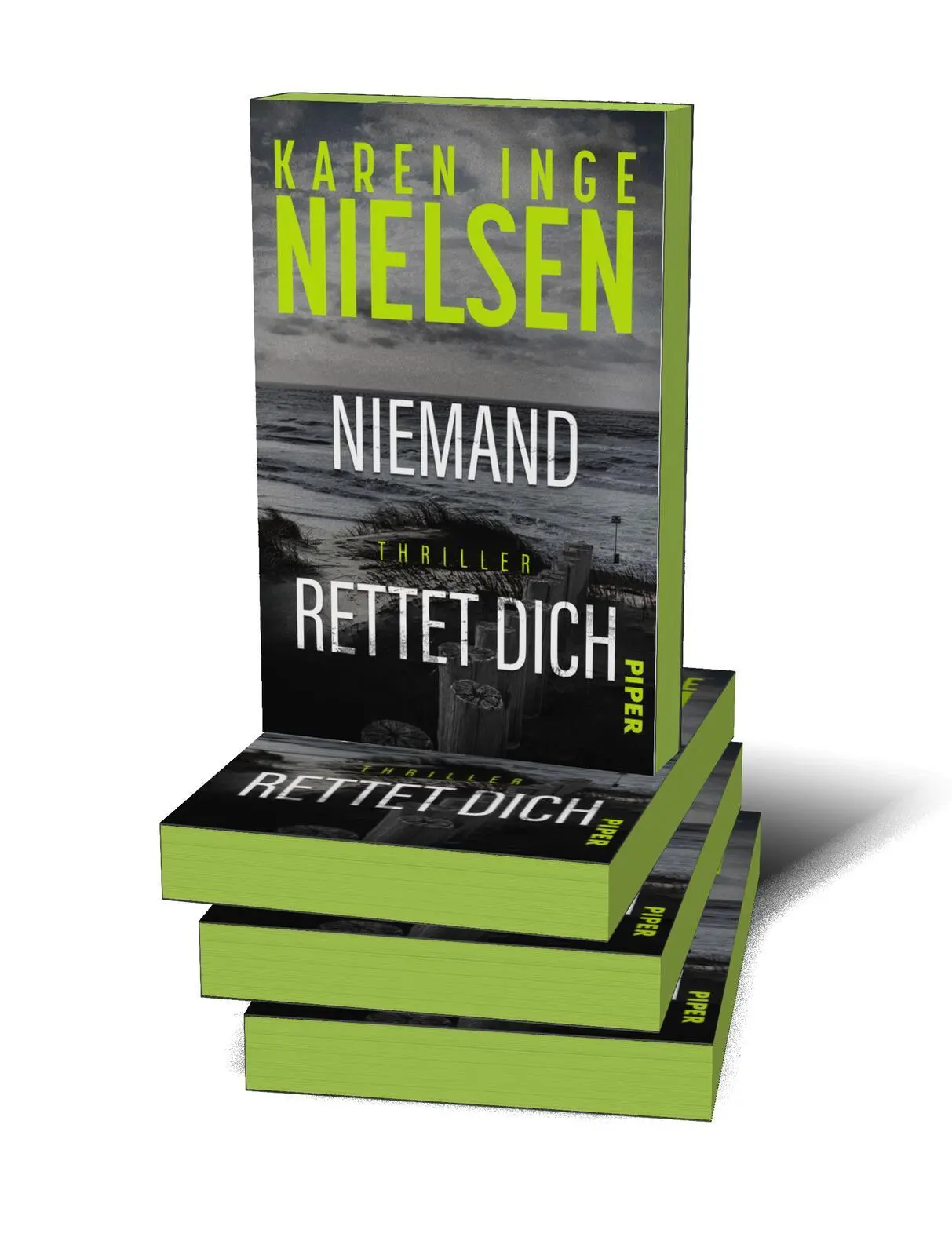 Bild: 9783492067133 | Niemand rettet dich | Karen Inge Nielsen | Taschenbuch | Grenzland