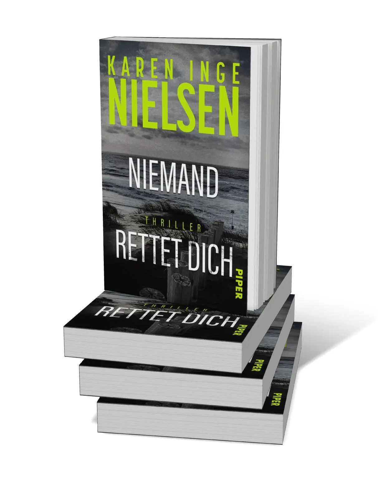 Bild: 9783492067133 | Niemand rettet dich | Karen Inge Nielsen | Taschenbuch | Grenzland