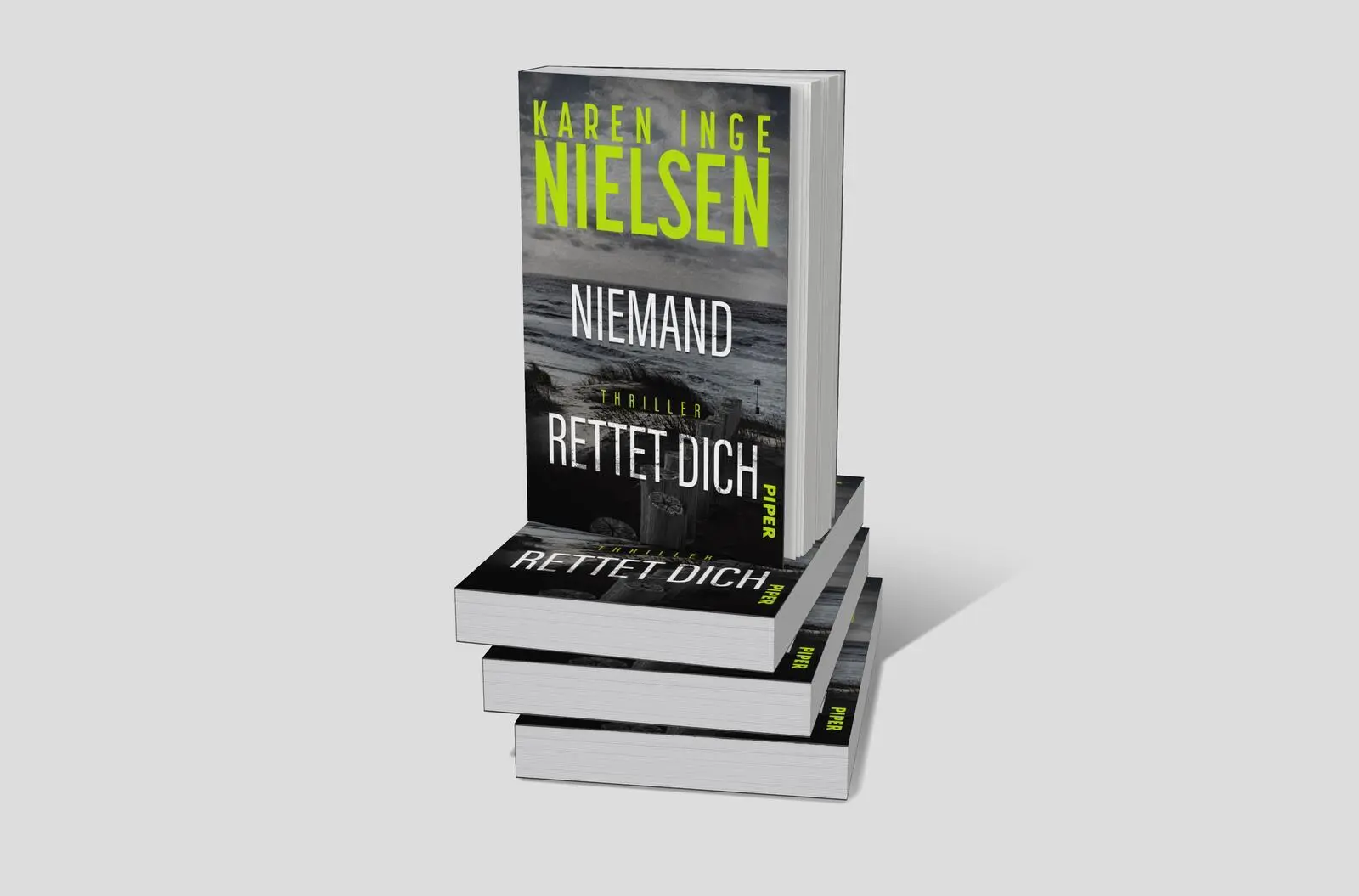 Bild: 9783492067133 | Niemand rettet dich | Karen Inge Nielsen | Taschenbuch | Grenzland