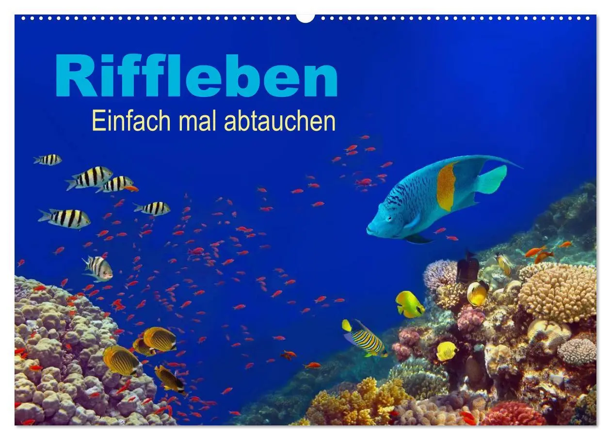 Cover: 9783516057133 | Riffleben - Einfach mal abtauchen (Wandkalender 2026 DIN A2 quer),...