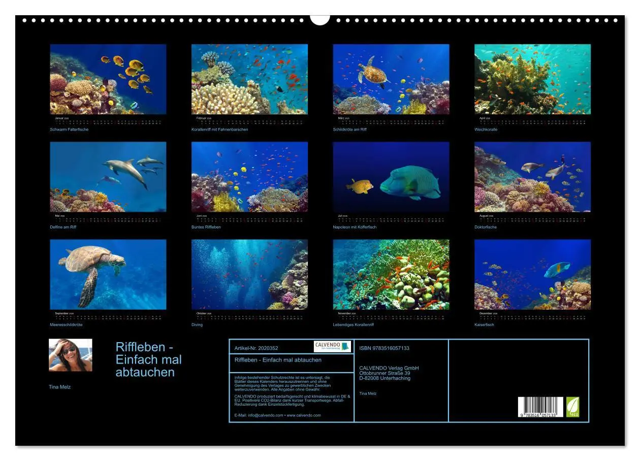 Bild: 9783516057133 | Riffleben - Einfach mal abtauchen (Wandkalender 2026 DIN A2 quer),...