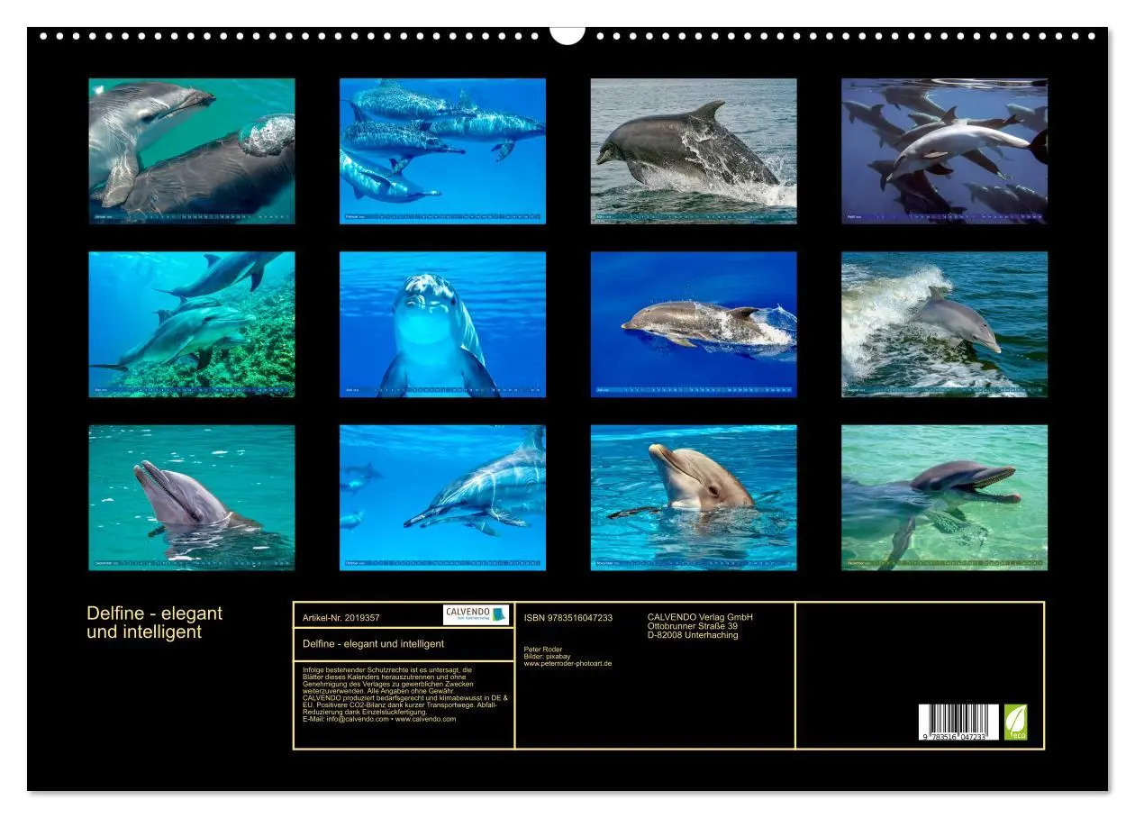 Bild: 9783516047233 | Delfine - elegant und intelligent (Wandkalender 2026 DIN A2 quer),...