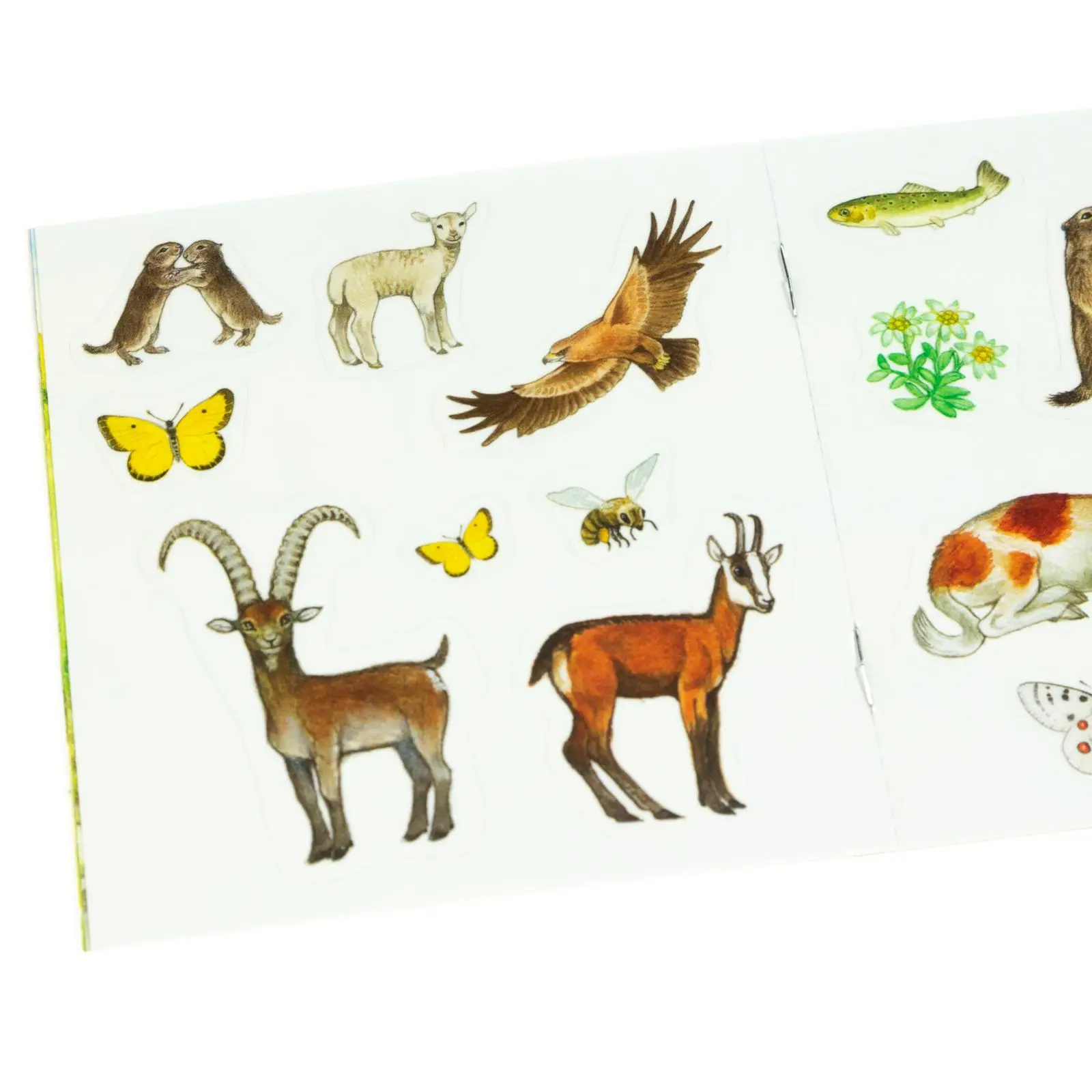 Bild: 9783551907233 | Pixi-8er-Set 199: Meine Sticker-Pixis (8x1 Exemplar) | Broschüre