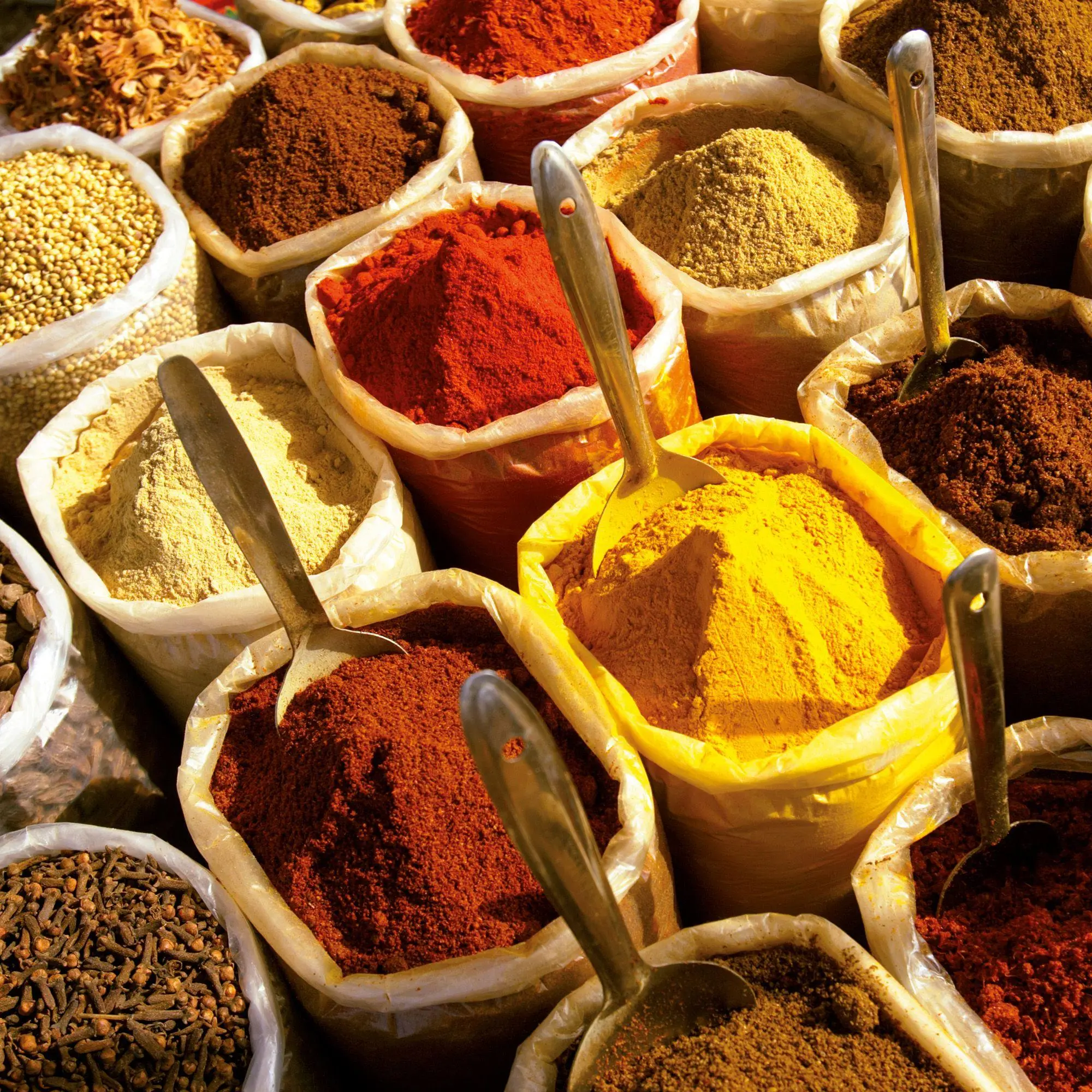 Bild: 9783959297233 | Kräuter und Gewürze / Herbs &amp; Spices 2027 | Kalender 2027 | Kalender
