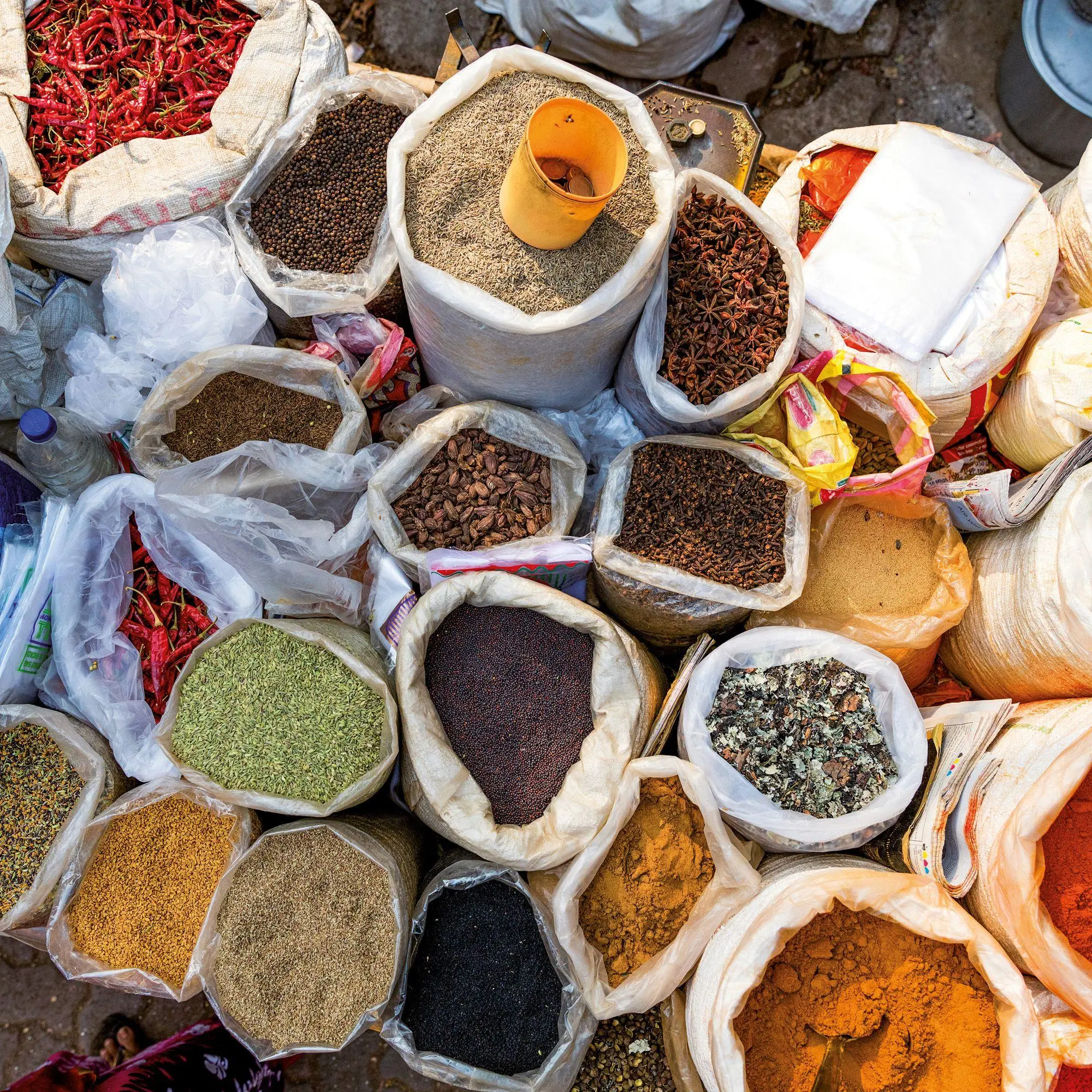 Bild: 9783959297233 | Kräuter und Gewürze / Herbs &amp; Spices 2027 | Kalender 2027 | Kalender