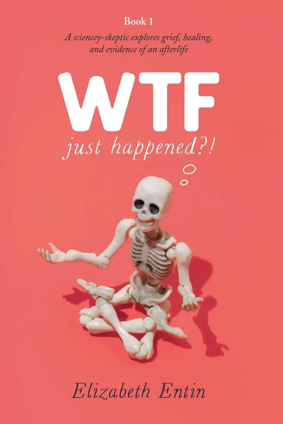 Cover: 9798985287233 | WTF Just Happened?! | Elizabeth Entin | Taschenbuch | Englisch | 2024