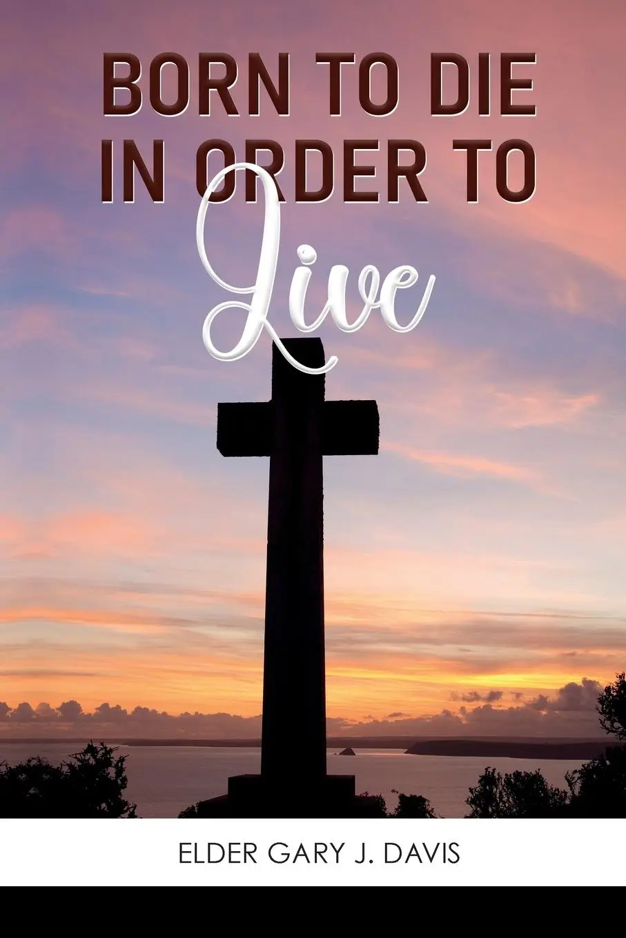 Cover: 9781479617333 | Born to Die in Order to Live | Gary J Davis | Taschenbuch | Englisch