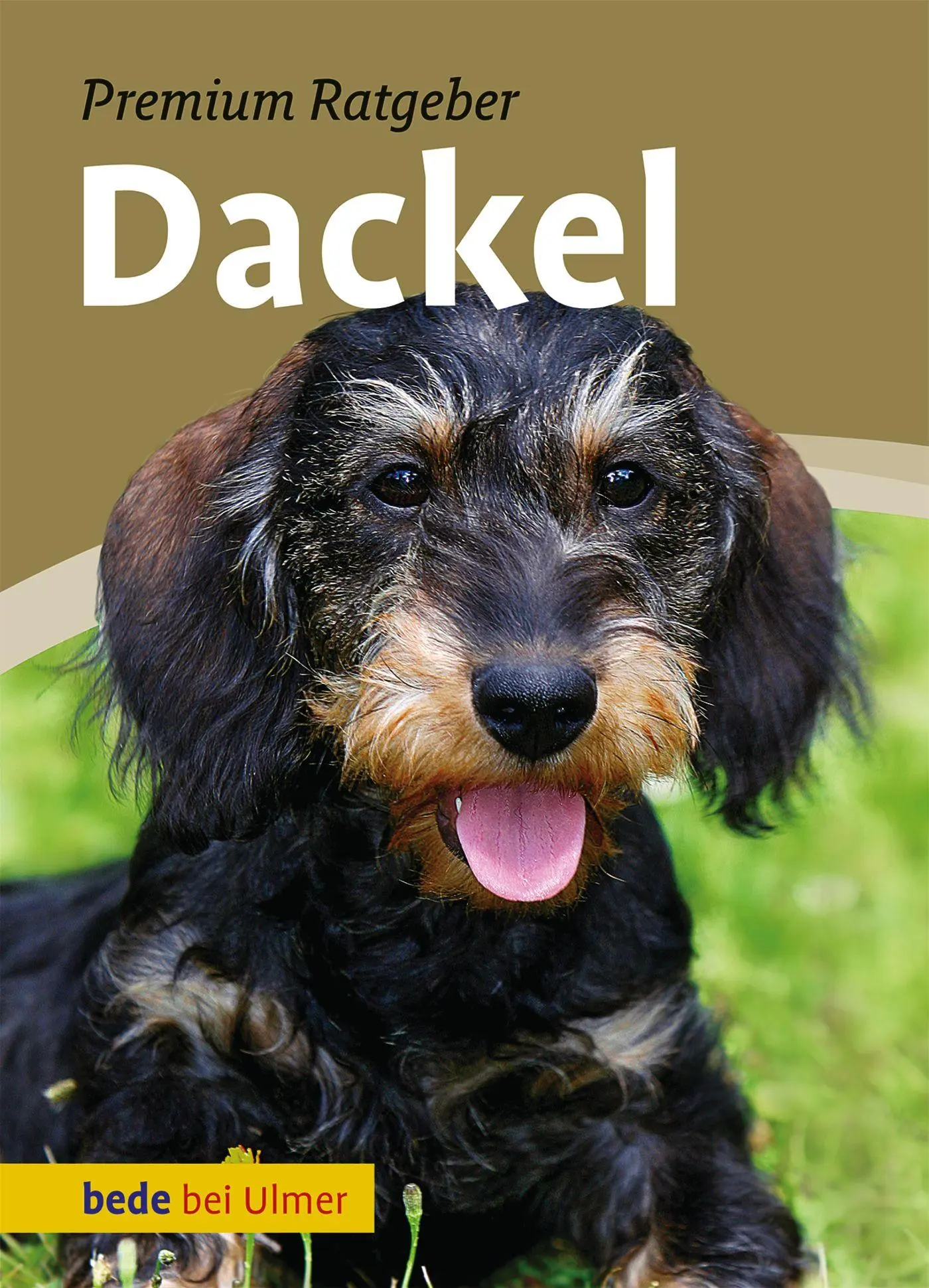 Cover: 9783800167333 | Dackel | Annette Schmitt | Buch | 128 S. | Deutsch | 2011