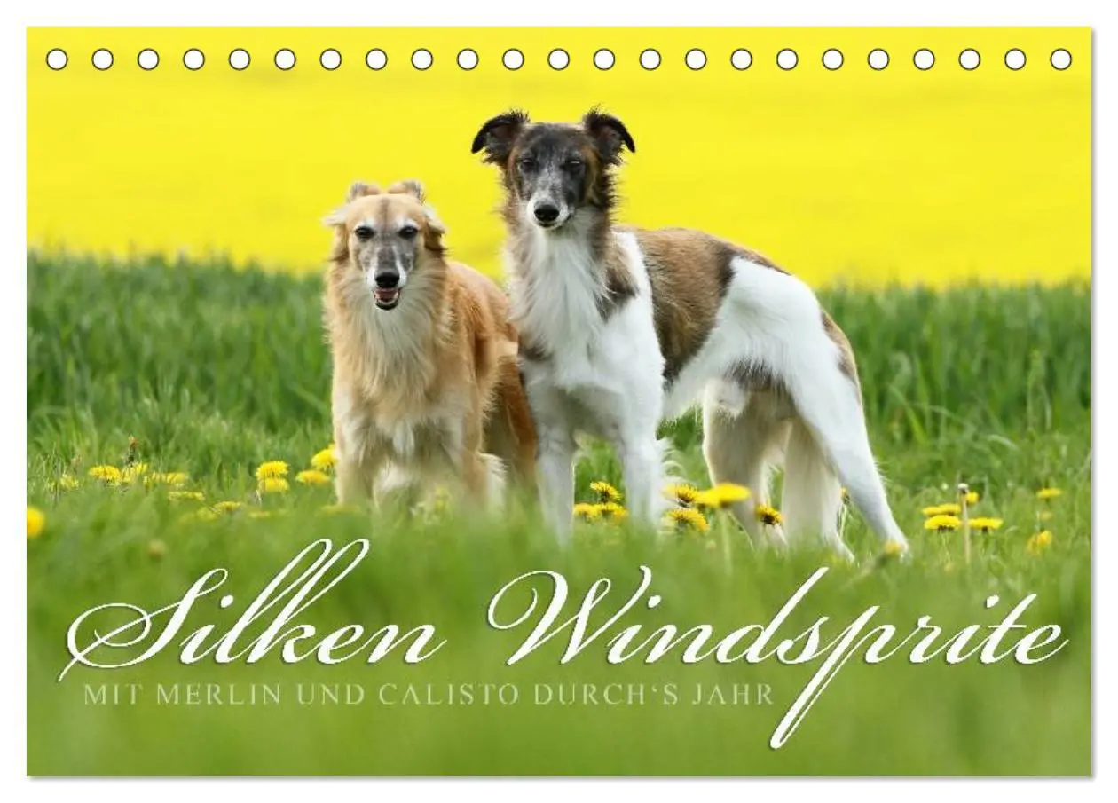 Cover: 9783435397433 | Silken Windsprite - Mit Merlin und Calisto durch´s Jahr 2025...