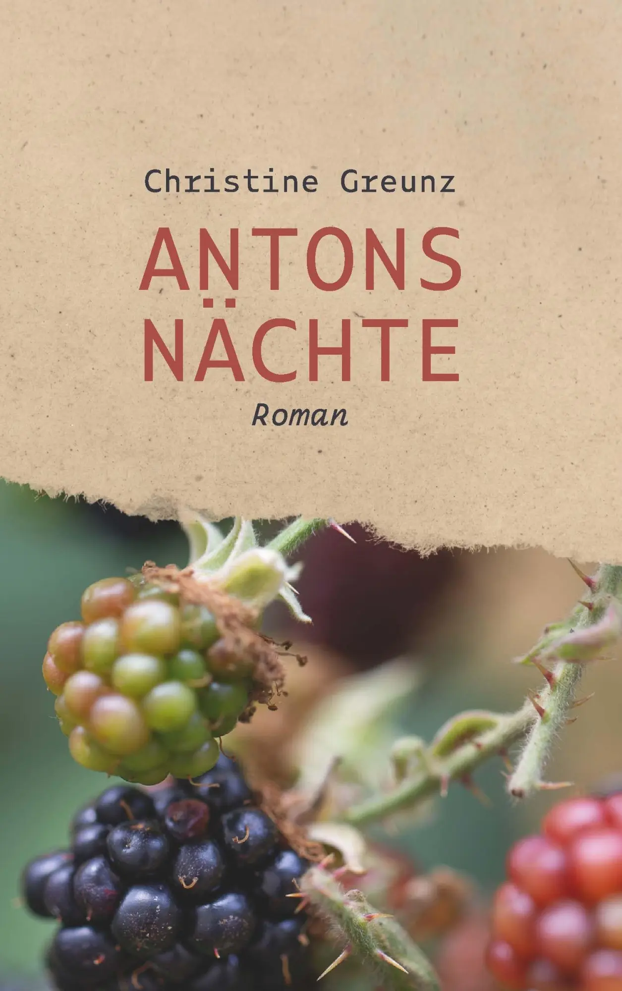 Cover: 9783991927433 | Antons Nächte | Roman | Christine Greunz | Taschenbuch | 224 S. | 2026