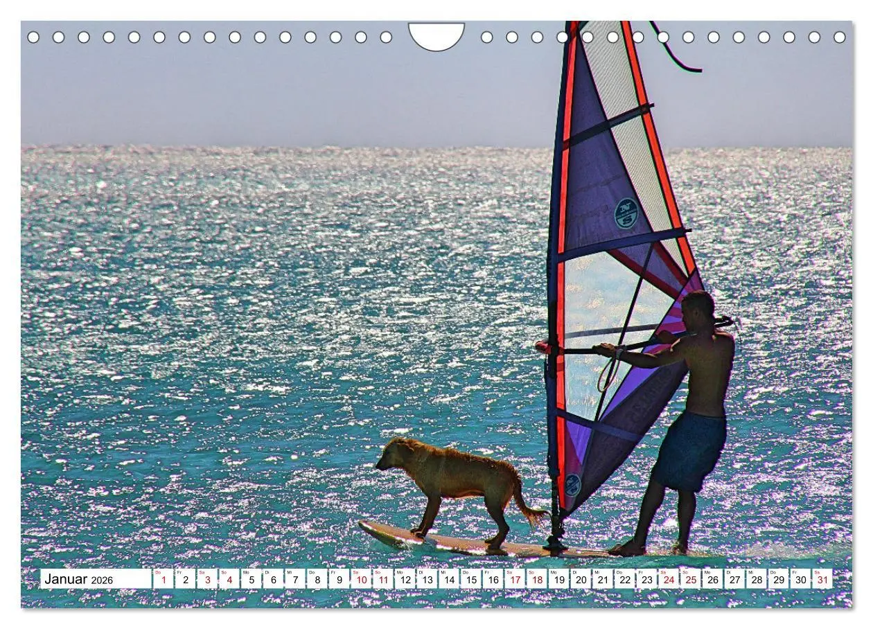 Bild: 9783457547533 | Funsport Windsurfen (Wandkalender 2026 DIN A4 quer), CALVENDO...