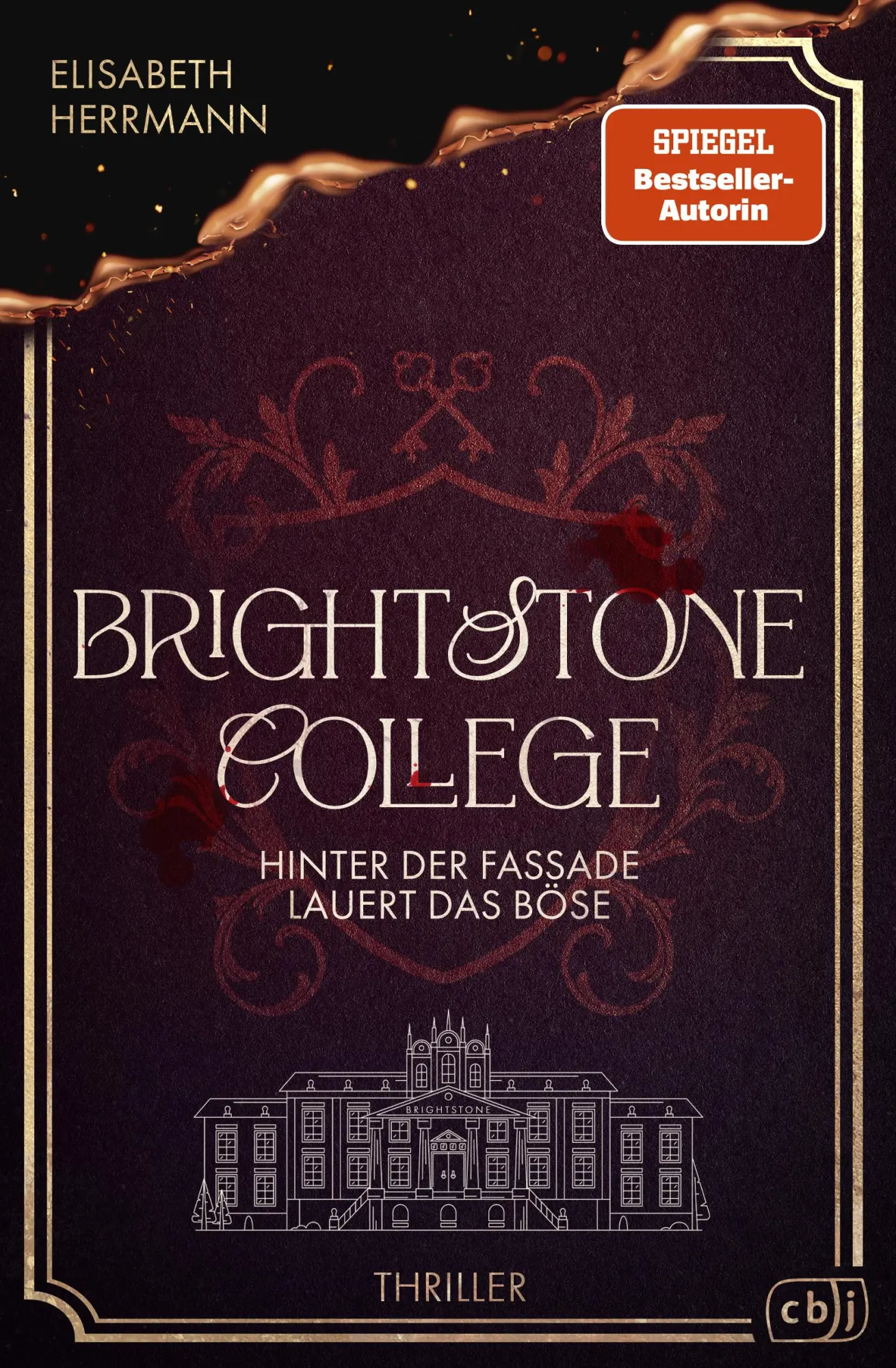 Cover: 9783570167533 | Brightstone College - Hinter der Fassade lauert das Böse | Herrmann