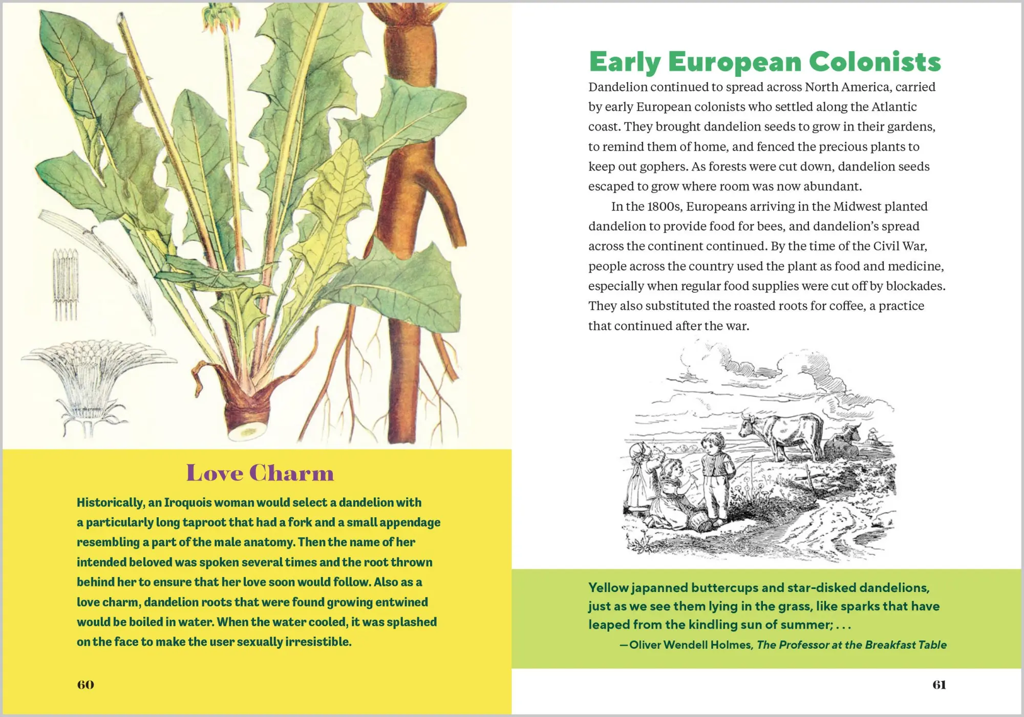 Bild: 9781635867633 | Dandelion Medicine, 2nd Edition | Brigitte Mars | Taschenbuch | 2023