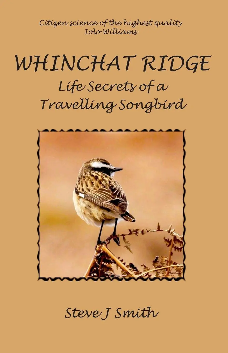 Cover: 9781913297633 | Whinchat Ridge | Life Secrets of a Travelling Songbird | Steve J Smith