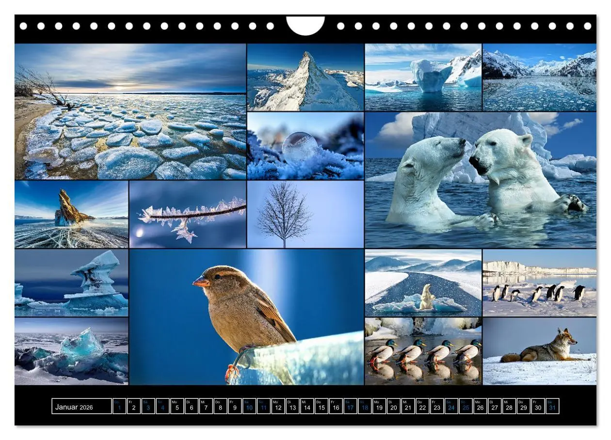 Bild: 9783457607633 | Farbsymphonien der Erde (Wandkalender 2026 DIN A4 quer), CALVENDO...