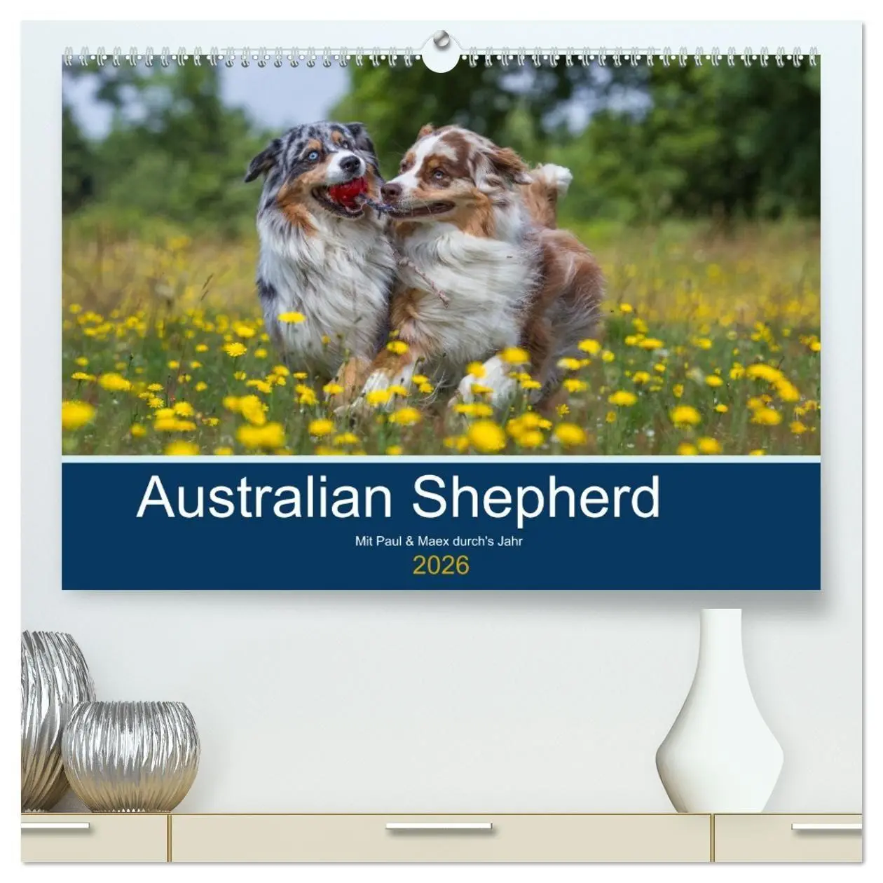 Cover: 9783516007633 | Australian Shepherd 2026 (hochwertiger Premium Wandkalender 2026...