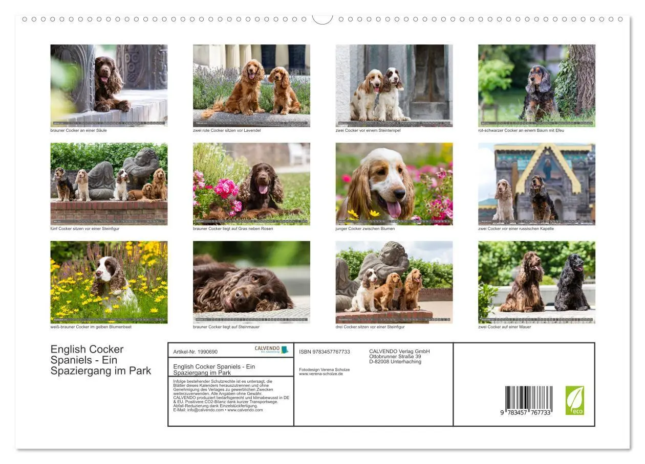 Bild: 9783457767733 | English Cocker Spaniels - Ein Spaziergang im Park (hochwertiger...