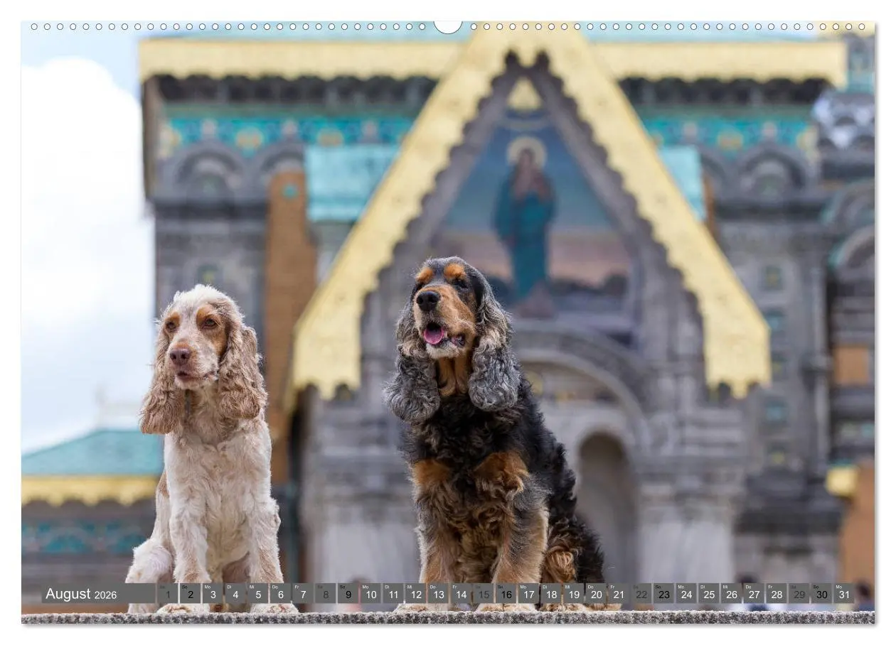 Bild: 9783457767733 | English Cocker Spaniels - Ein Spaziergang im Park (hochwertiger...
