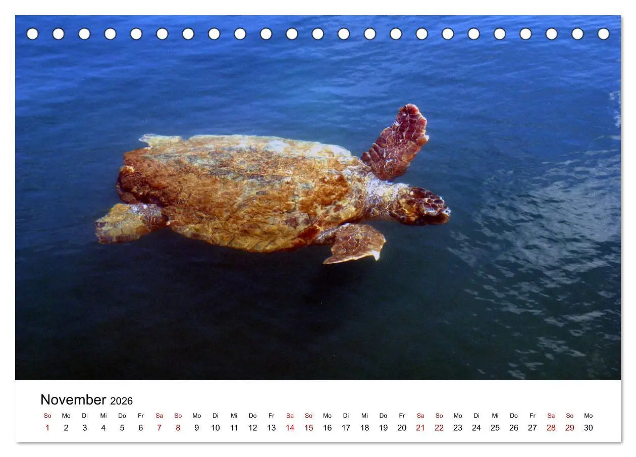 Bild: 9783457907733 | Griechenland - Insel Kefalonia (Tischkalender 2026 DIN A5 quer),...