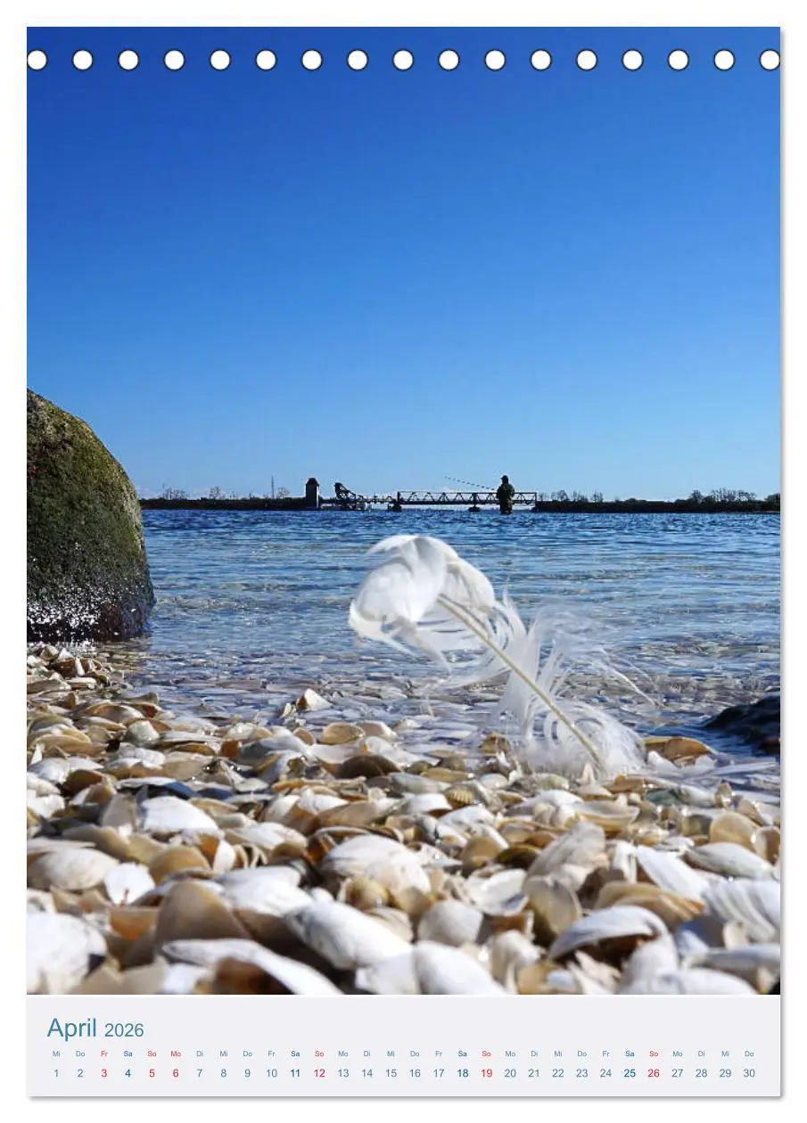 Bild: 9783516397833 | Kappeln und Schlei (Tischkalender 2026 DIN A5 hoch), CALVENDO...