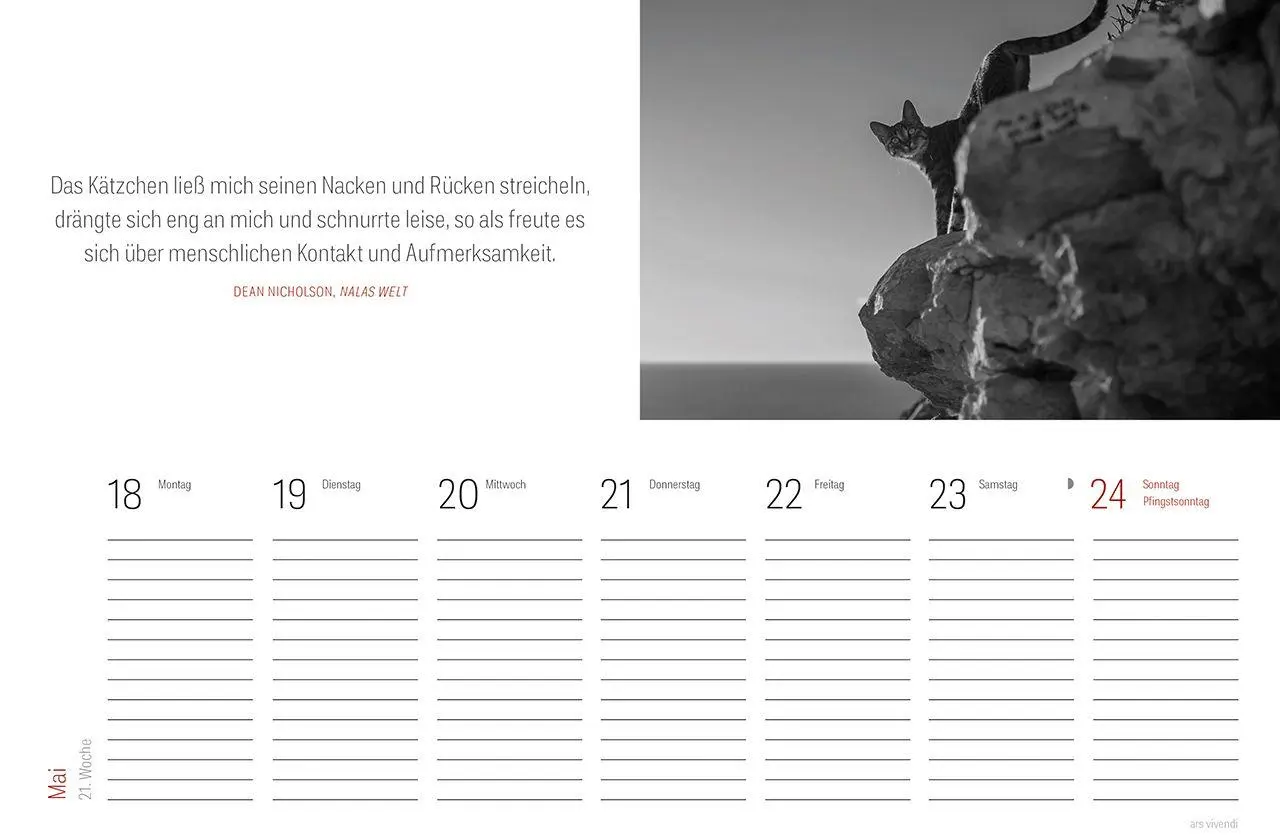 Bild: 9783747207833 | Tischkalender Katzen 2027 | Wochentischkalender | Vivendi Ars | 53 S.