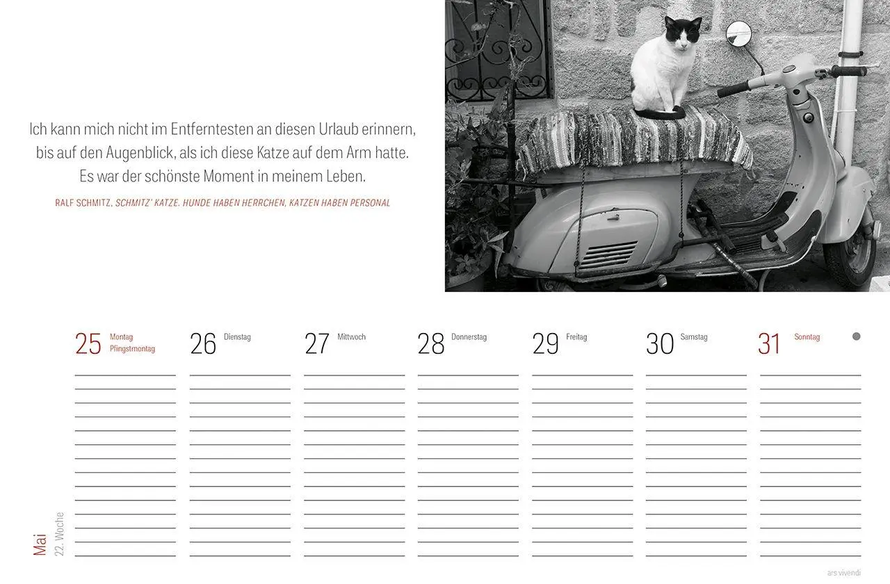 Bild: 9783747207833 | Tischkalender Katzen 2027 | Wochentischkalender | Vivendi Ars | 53 S.