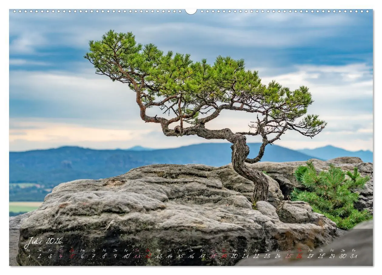 Bild: 9783457367933 | Landschaften der Sächsischen Schweiz (Wandkalender 2026 DIN A2...