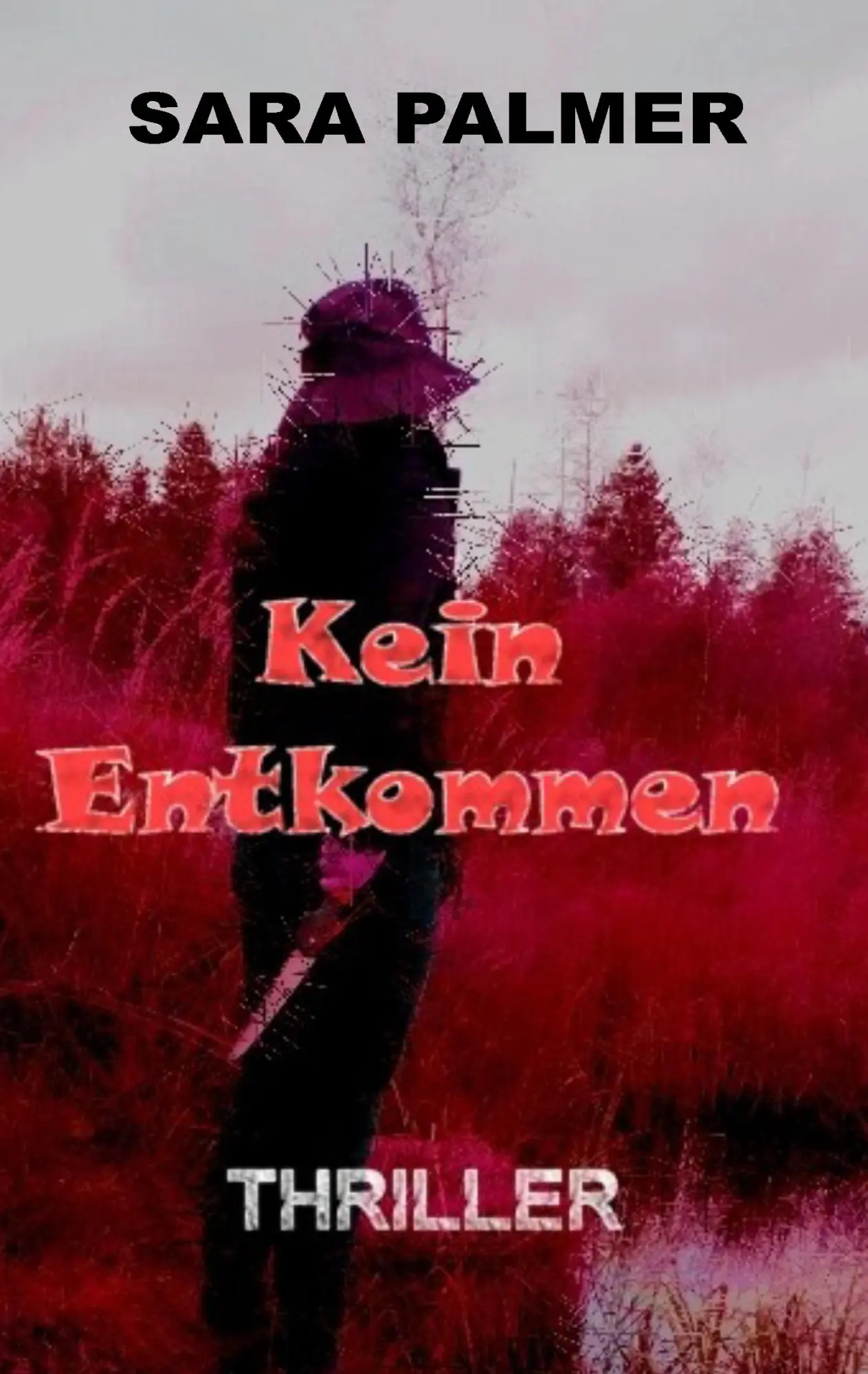 Cover: 9783743167933 | Kein Entkommen | Sara Palmer | Taschenbuch | 200 S. | Deutsch | 2017