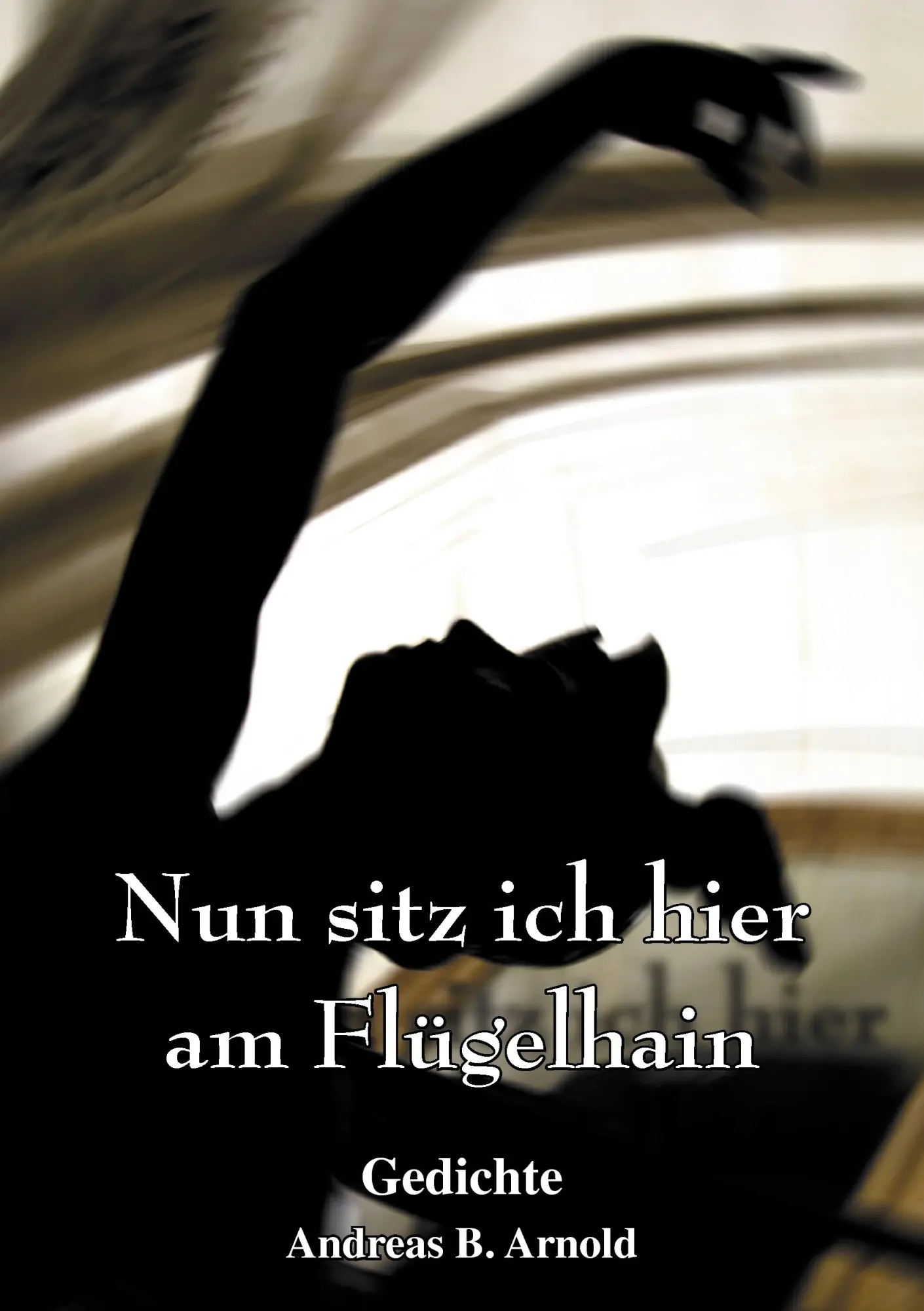 Nun sitz ich hier am Flügelhain: Gedichte