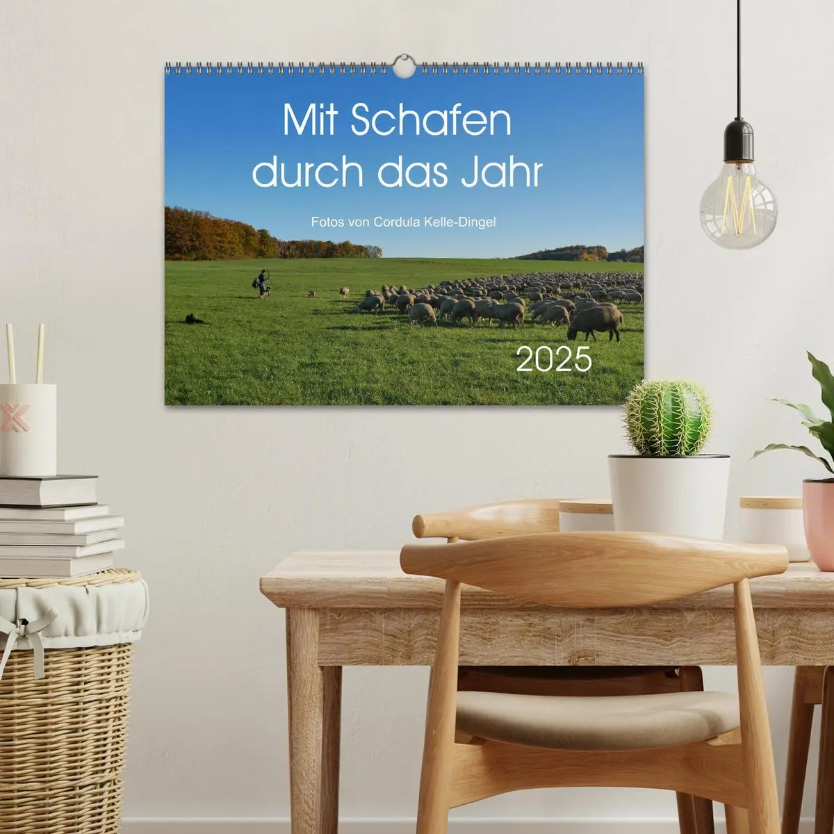 Bild: 9783435308033 | Mit Schafen durch das Jahr (Wandkalender 2025 DIN A3 quer),...